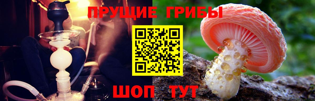 Белорецк  Псилоцибиновые грибы Psilocybine cubensis  Вход с VPN 